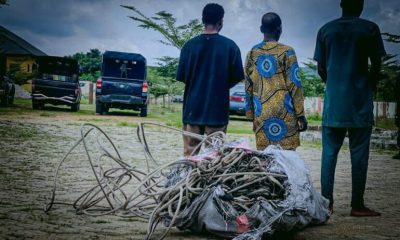 Father, Son, One Other Arrested Over Alleged Theft of Electrical Cables in Iwo