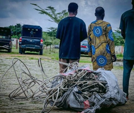 Father, Son, One Other Arrested Over Alleged Theft of Electrical Cables in Iwo