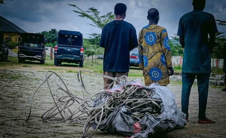 Father, Son, One Other Arrested Over Alleged Theft of Electrical Cables in Iwo