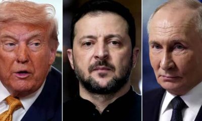 Trump Calls for New Ukrainian Leadership After Zelensky Criticises Russian Diesel Deal