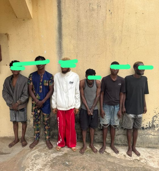 Osun Police Arrest Six in Fresh Crackdown on Cultism in Osogbo