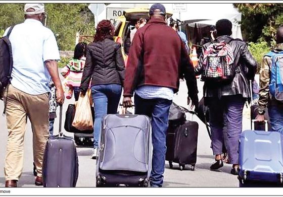 The Talents We Train, The Talents We Lose: Nigeria’s Growing Brain Drain