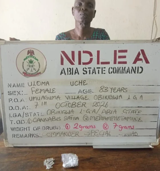 NDLEA Arrests 83-Year-Old Woman for Alleged Drug Trafficking, Nabs South African With 32.74kg Cannabis